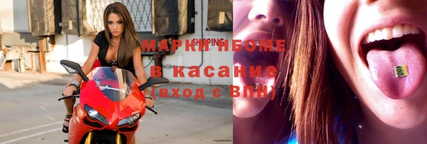 apvp Алзамай