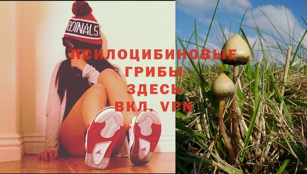 герыч Алексин