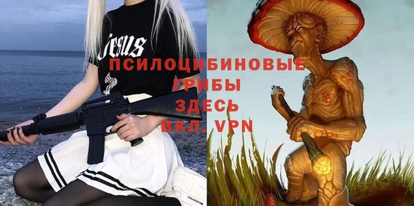 герыч Алексин