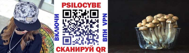 где купить наркотик  Коряжма  Псилоцибиновые грибы MAGIC MUSHROOMS 