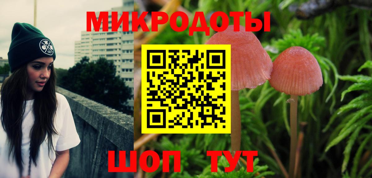 Псилоцибиновые грибы мицелий Коряжма