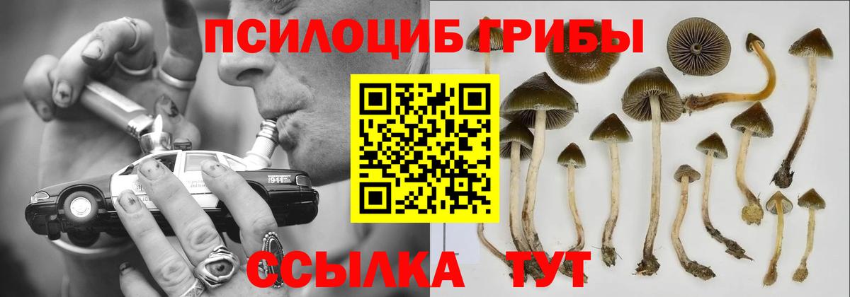 Псилоцибиновые грибы GOLDEN TEACHER  Галлюциногенные грибы прущие грибы  Вход с VPN  Коряжма 