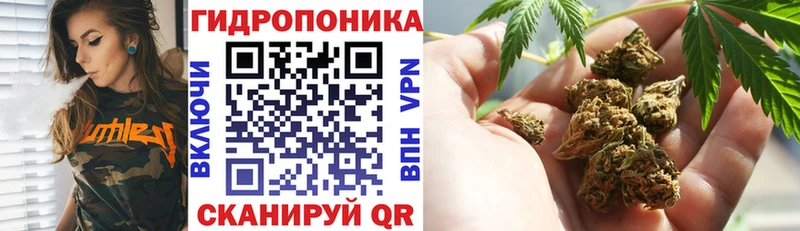 Бошки Шишки Bruce Banner купить цена Коряжма